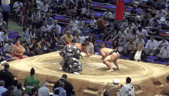 Daiseido Fighting Style