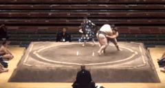 Takatenshu's Fighting Style