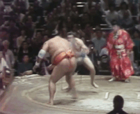 Tamaryu's Fighting Style