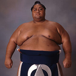 Famous sumo wrestlers sales