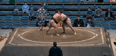 Senho's Fighting Style