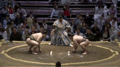 Tohakuryu's Fighting Style 2