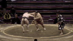 Kyokushori's Fighting Style 2