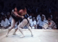 Maenoshin's Fighting Style