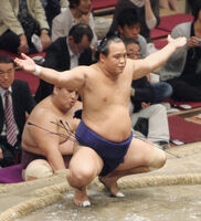 Shironoryu prepares for his upcoming match (c. 2010)