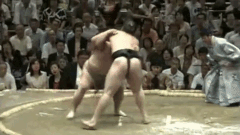 Toyonoshima's Fighting Style