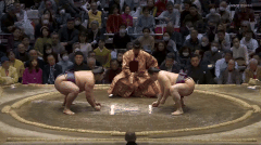 Endo's Fighting Style 3