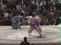 Kirinishiki's Fighting Style