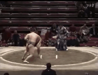 Daiyubu's Fighting Style