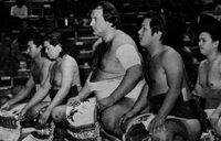 Kototenta was one of the biggest sumo wrestlers (c. 1985)