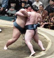 Nishikigi defeats Tokihayate (c. 2025)