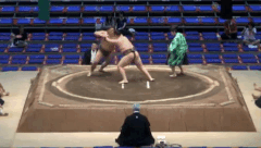 Fujinohana's Fighting Style