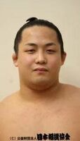 Midorifuji Kazunari - 2020 (Retrieved from the JSA)