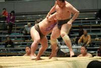 Tochinoyama pushes out and defeats Sotenryu (c. 2013)