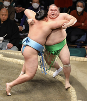 KotoshohoChiyomaru