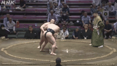 Kyokukaiyu's Fighting Style 2