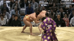 Kyokutaisei Fighting Style