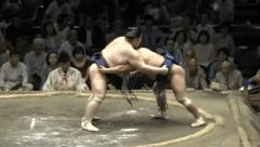 Shironoryu's Fighting Style