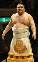 Yotsukasa during the dohyo-iri