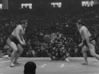 Arashiyama's Fighting Style