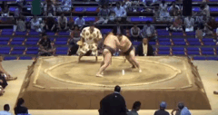 Tenichi's Fighting Style