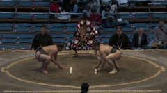 Kurohimeyama2's Fighting Style 2