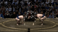 Takarafuji's Fighting Style 2