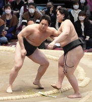 Kotokenryu loses the Jonokuchi Yusho playoff match (c. 2022)