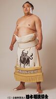 Okinoumi Ayumi - 2017 (Retrieved from the JSA)