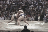 Tagaryu's Fighting Style