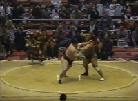 Tomikaze's Fighting Style 2