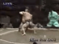 Omiryu's Fighting Style