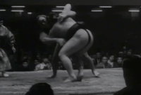 Wakamisugi's FIghting Style