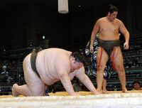 Orora gets thrown by Fujinohana (c. 2015)