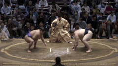 Takerufuji's Fighting Style 2