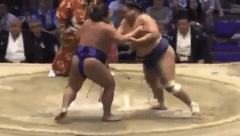 Daido Fighting Style