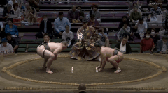 Fukai's Fighting Style 2