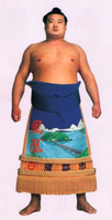 Hoo poses with his kesho-mawashi