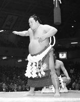 Kotozakura's final dohyo-iri as Yokozuna (c. 1975)