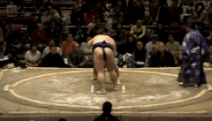 Asofuji's Fighting Style