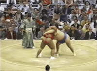 Dairyu's Fighting Style