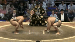 Homarefuji's Fighting Style 2