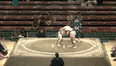Karatsuumi's Fighting Style