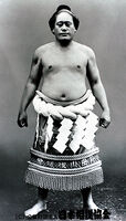 Maedayama Eigoro - (Retrieved from the Nihon Sumo Kyokai)