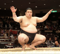 Mitoryu during his time in the unsalaried ranks (c. 2017)