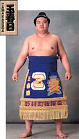 Tamakasuga Ryoji- 1997 (Retrieved from the JSA)