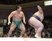 Tochinowaka7