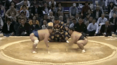 Wakakoyu's Fighting Style