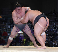 Hikarifuji loses the Sandanme Yusho match to Ura (c. 2018)