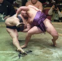 Tominohana defeats Hananokuni by izori (c. 1993)